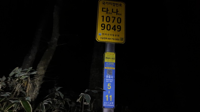 20208e36c9e5cb470562e89ee74e8cd1_1735383874_4212.jpg